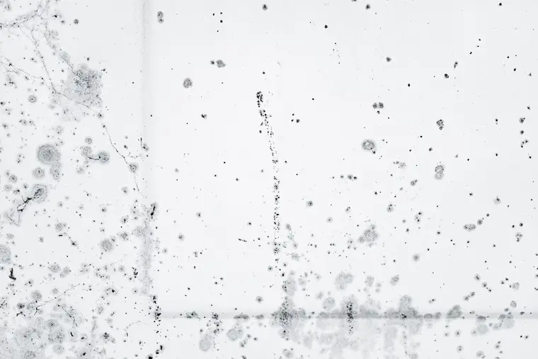 Black mold colonies spotting a white wall near a corner joint
