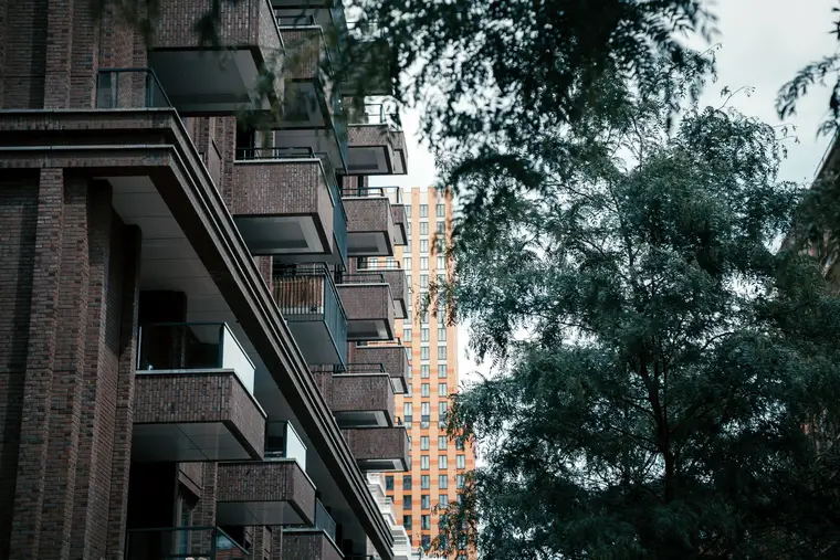 Brick apartment balconies rising behind a leafy tree