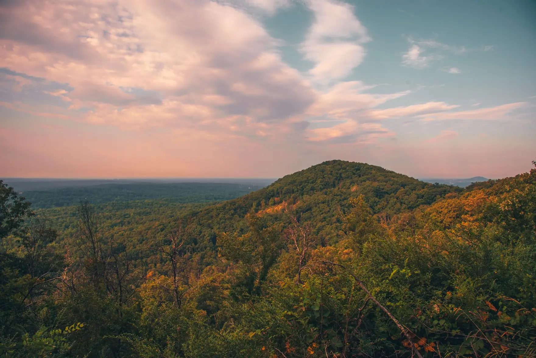 Rolling green forest and a wooded summit under a pastel evening sky