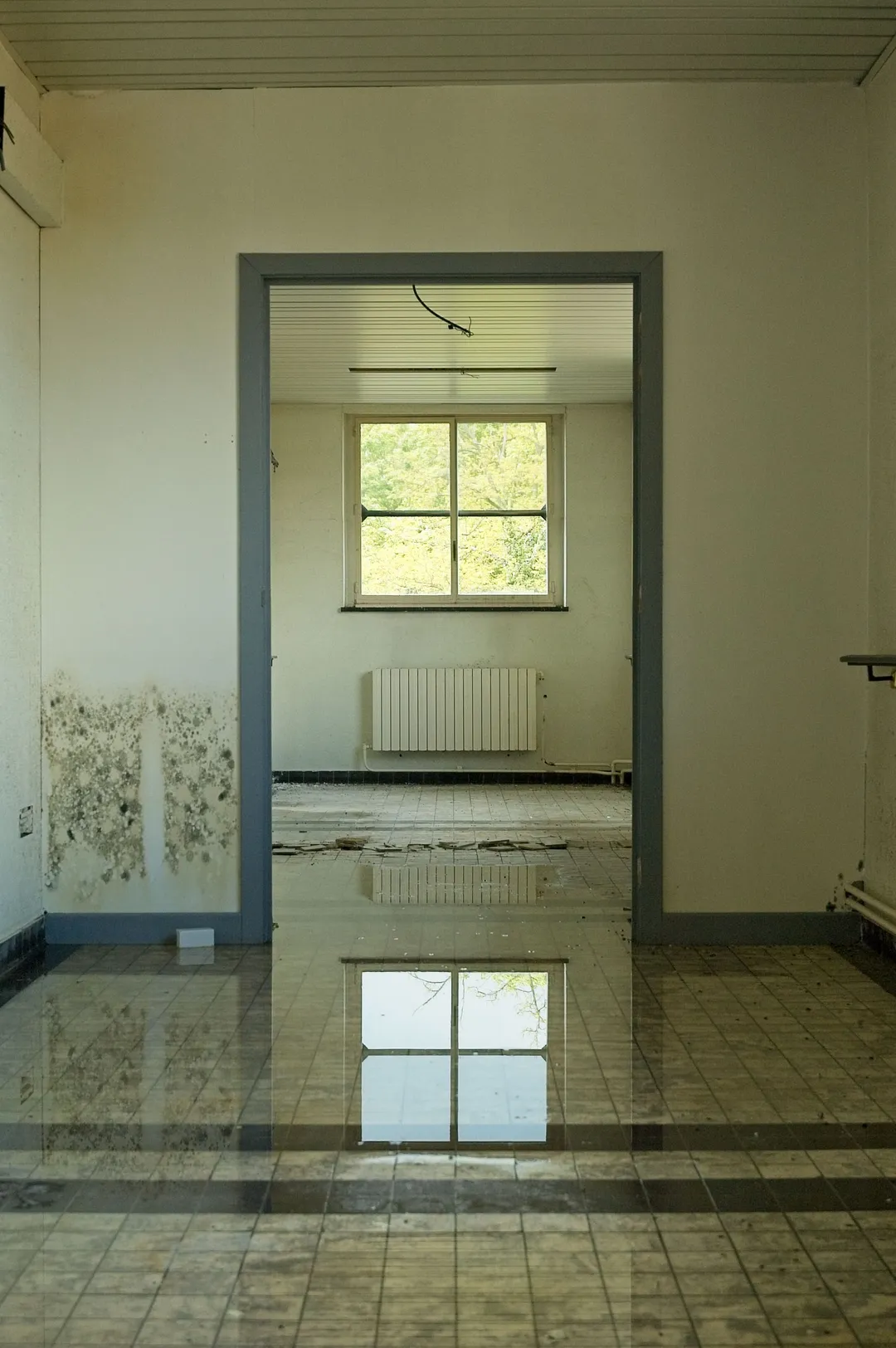 Standing water across a tiled floor, black mold climbing the wall